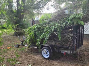 Cleanups by Charles Brown for Michael S. in Wichita, KS