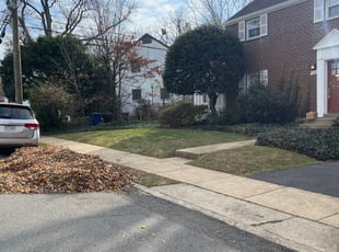 Cleanups by Jose M Rodriguez for Mary Ann H. in Arlington, VA