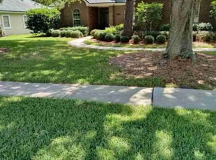 Laurel M.'s Lawn Care service result