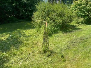 Cleanups by Paris Green for Jessica F. in Rochester, NY