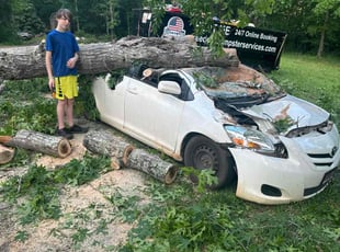 Leaf Removal by Jarred Collum for Travis D. in Alabaster, AL