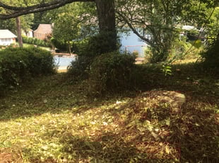 Cleanups by Michael Gregory for Clyde O. in Charlotte, NC