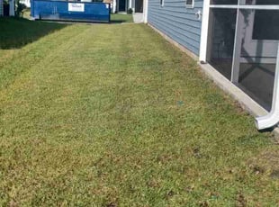 Manuel S.'s Lawn Care service result