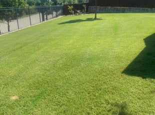 Kate V.'s Lawn Mowing service result