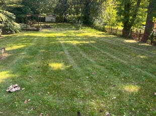 Patricia P.'s Grass Cutting service result