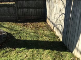 Leaf Removal by Arisbet Cardoza for Michael O. in Grand Rapids, MI