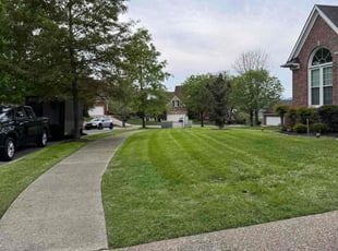 Brian N.'s Lawn Care service result