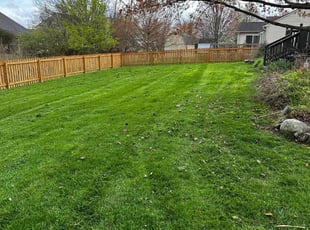 Cheng T.'s Lawn Mowing service result