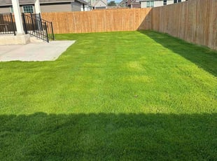 Tina J.'s Lawn Care service result