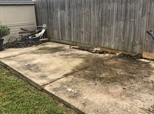Leaf Removal by Christopher Fonseca for Annemarie C. in New Orleans, LA