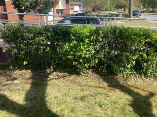 Bush Trimming by Robert Faison for Chandra W. in District Heights, MD
