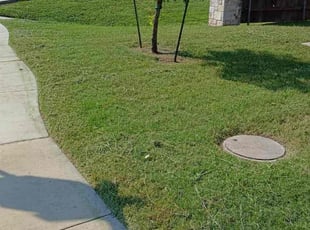 Sabrina C.'s Lawn Mowing service result