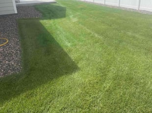 Brett B.'s Lawn Care service result