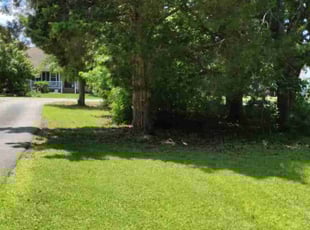 Ashok P.'s Lawn Service service result