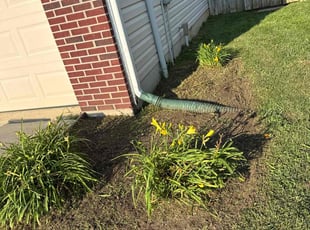 Weeding by Luis Contreras for Mary R. in Fishers, IN