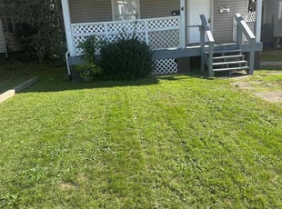 Sandra S.'s Lawn Care service result