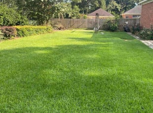 Donald C.'s Lawn Mowing Service service result