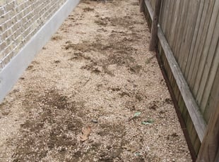 Weeding by Teodoro Leija for Mike L. in Austin, TX