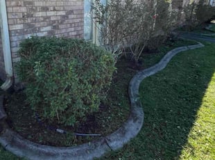 Weeding by Eugene Campbell for Marlene S. in Violet, LA