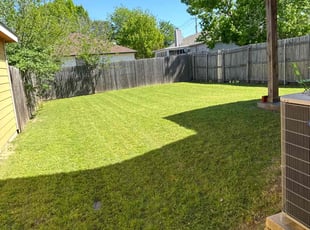Jenna O.'s Lawn Mowing service result