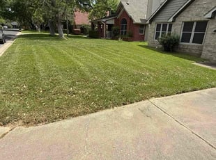 Ceci T.'s Lawn Mowing service result