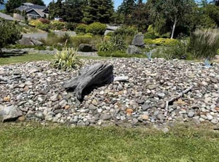 Weeding by Mathew Archouletta for Leslie A. in Bellingham, WA