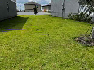 Michael S.'s Lawn Service service result