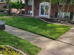 Diana D.'s Lawn Mowing Service service result