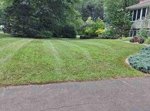 Connie G.'s Lawn Care service result
