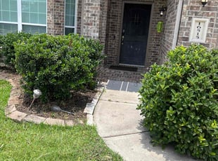 Weeding by Thomas Ruiz for Ryan G. in Hockley, TX