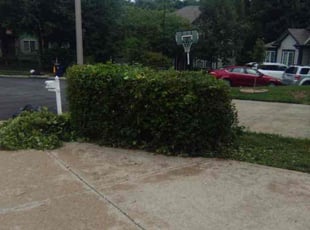 Bush Trimming by Marcus Alexander for Kyle J. in Kansas City, MO