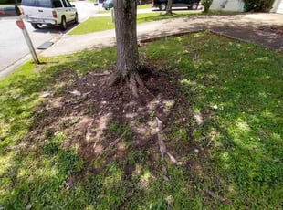 Cleanups by Mark Redden for Mike A. in Decatur, GA