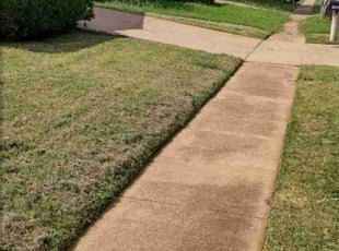 Paul D.'s Lawn Care service result
