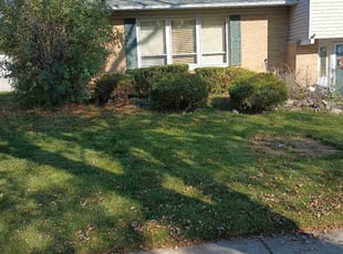 Bush Trimming by Will McCoy for Kevin h. in Oak Forest, IL