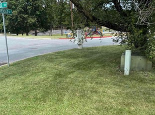 Danielle W.'s Yard Cutting service result