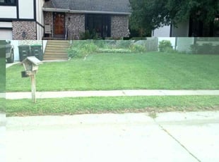 Piret T.'s Lawn Mowing Service service result
