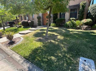 Deborah S.'s Lawn Care service result