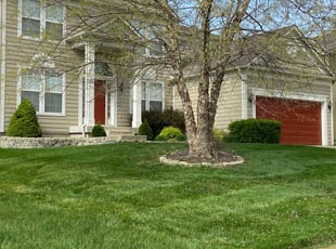 Jared S.'s Lawn Care service result
