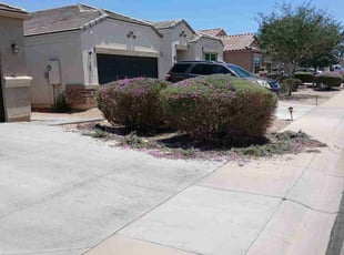 Bush Trimming by Andrew Hoodzow for Amanda A. in Maricopa, AZ