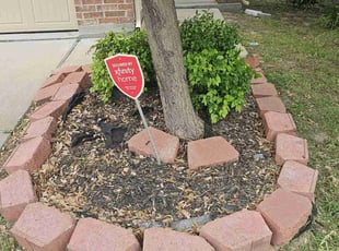 Weeding by Edgar Trejo for Charles D. in Houston, TX