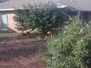 Bush Trimming by Dakota Lally for Michelle B. in Oklahoma City, OK