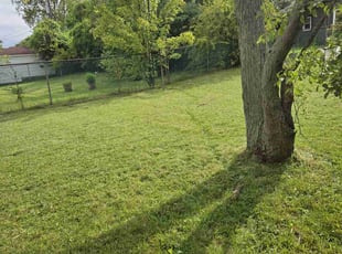 Moe H.'s Lawn Care service result