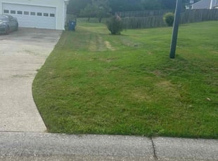 Carol b.'s Lawn Mowing service result