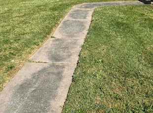 Philip G.'s Lawn Maintenance service result