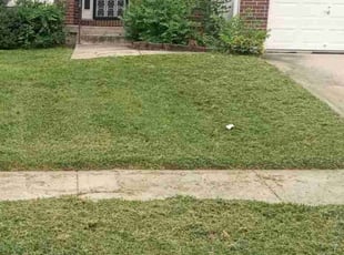 Delores L.'s Lawn Mowing service result