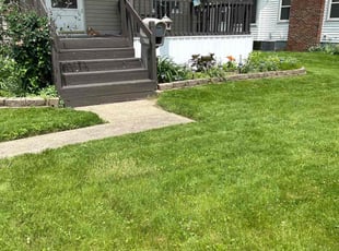 John A.'s Grass Cutting service result