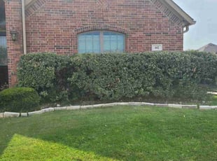 Bush Trimming by Lakeida Jackson for Jimmy S. in Midlothian, TX