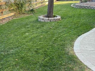 Ray A.'s Lawn Service service result