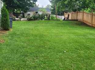 Steven L.'s Lawn Service service result