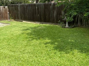 Jeremy P.'s Lawn Service service result